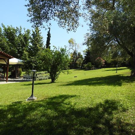 Konstantinos'S Luxury Residence Sani Sani  Zewnętrze zdjęcie