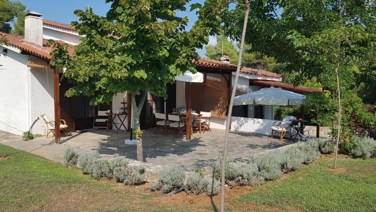 Konstantinos'S Luxury Residence Sani Sani  Zewnętrze zdjęcie