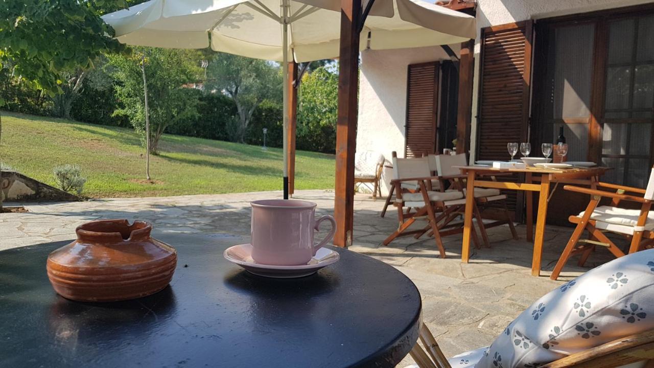 Konstantinos'S Luxury Residence Sani Sani  Zewnętrze zdjęcie