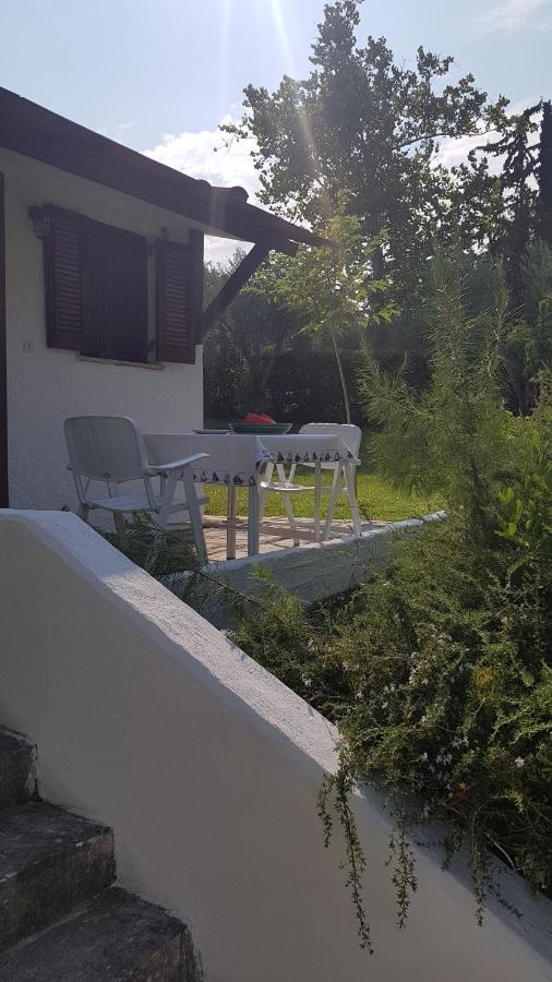 Konstantinos'S Luxury Residence Sani Sani  Zewnętrze zdjęcie