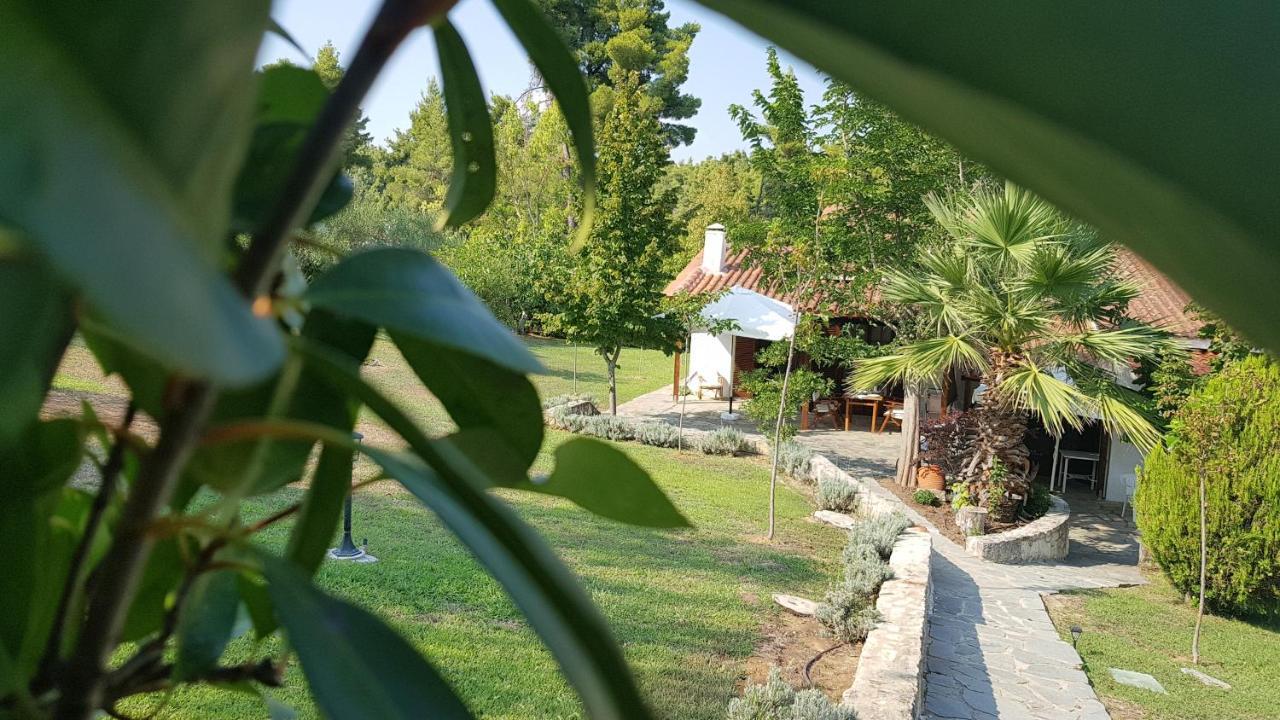 Konstantinos'S Luxury Residence Sani Sani  Zewnętrze zdjęcie