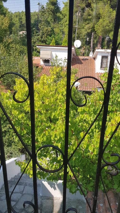 Konstantinos'S Luxury Residence Sani Sani  Zewnętrze zdjęcie