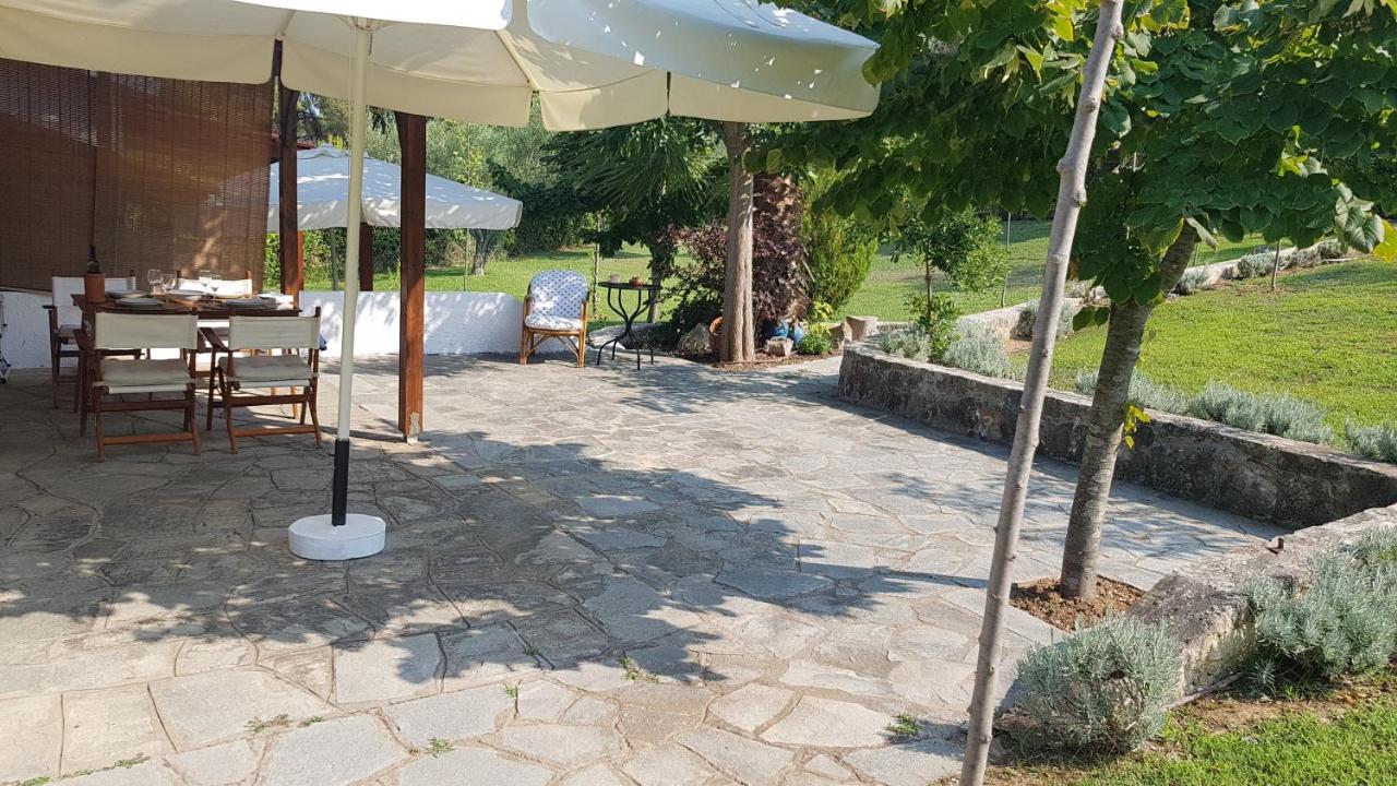 Konstantinos'S Luxury Residence Sani Sani  Zewnętrze zdjęcie