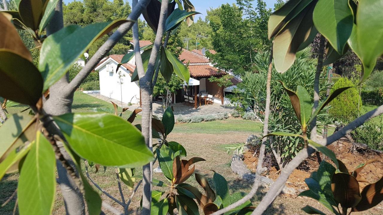 Konstantinos'S Luxury Residence Sani Sani  Zewnętrze zdjęcie