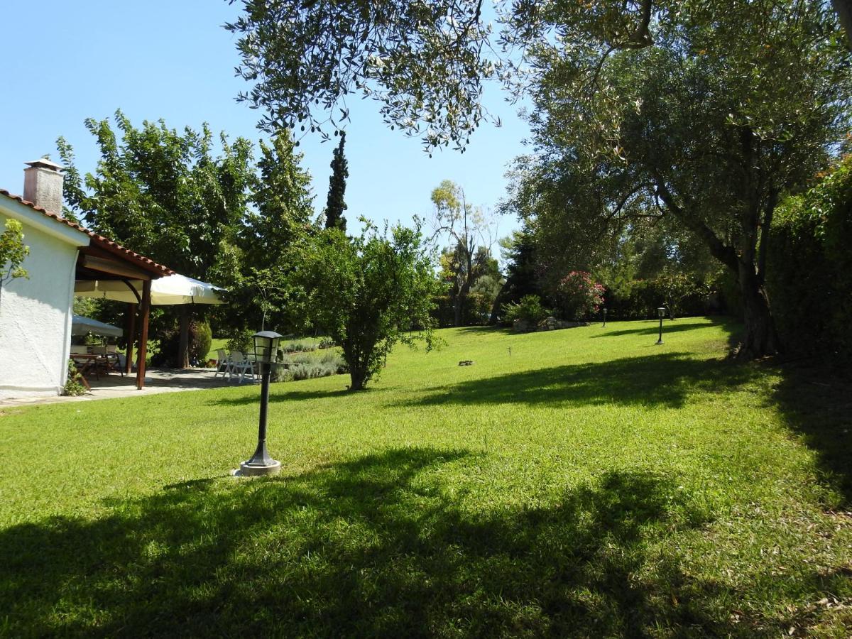 Konstantinos'S Luxury Residence Sani Sani  Zewnętrze zdjęcie